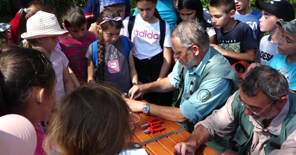 Élményszerű biológiaóra